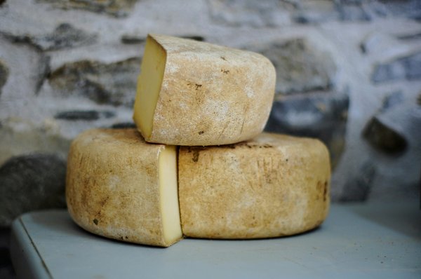 Comment découvrir les traditions de la fabrication du fromage en Suisse ?